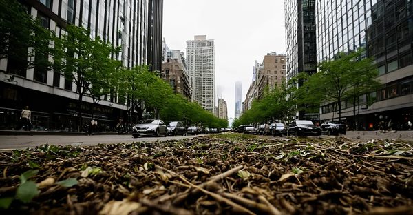 Aura urbaine : favorisez le bien-être avec la nature en ville